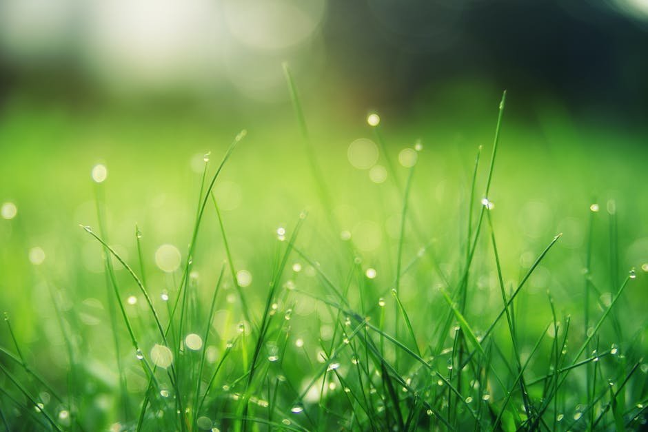 Garten düngen - wann es am besten ist