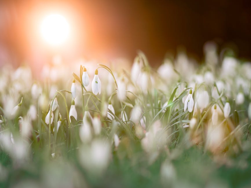 Gartenabfälle sicher verbrennen
