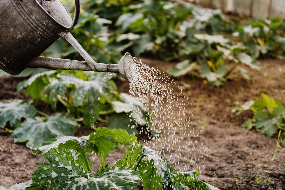 Laub im Garten nutzen