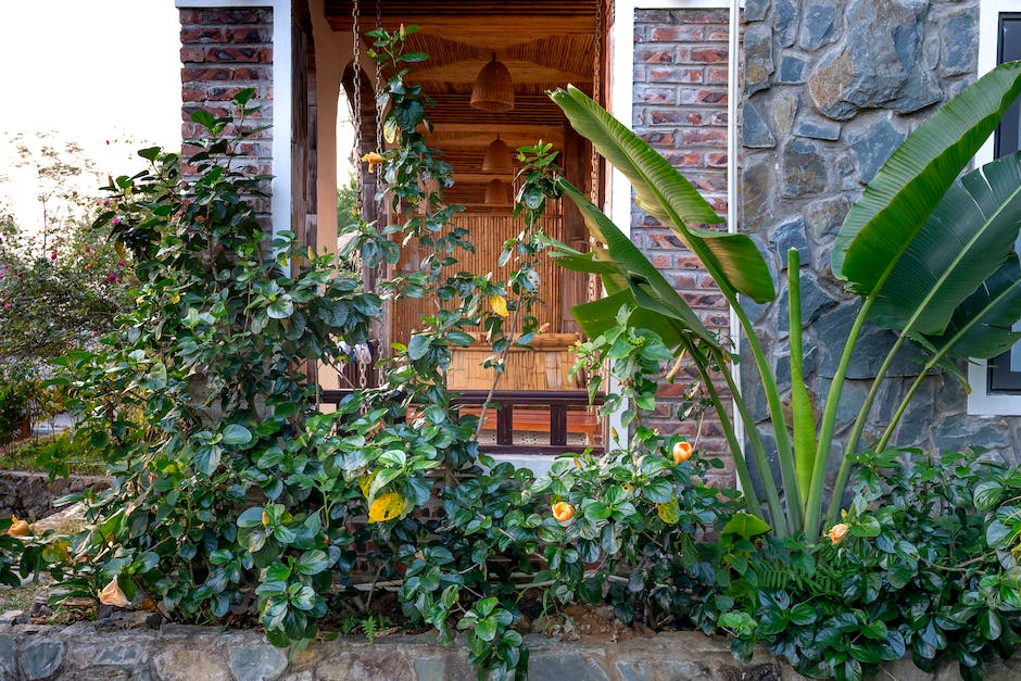 10 Pflanzen, die perfekt in einen Cottage Garten passen Jetzt