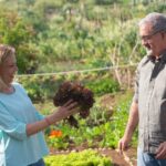 Länge der samstäglichen Gartenarbeit erlauben